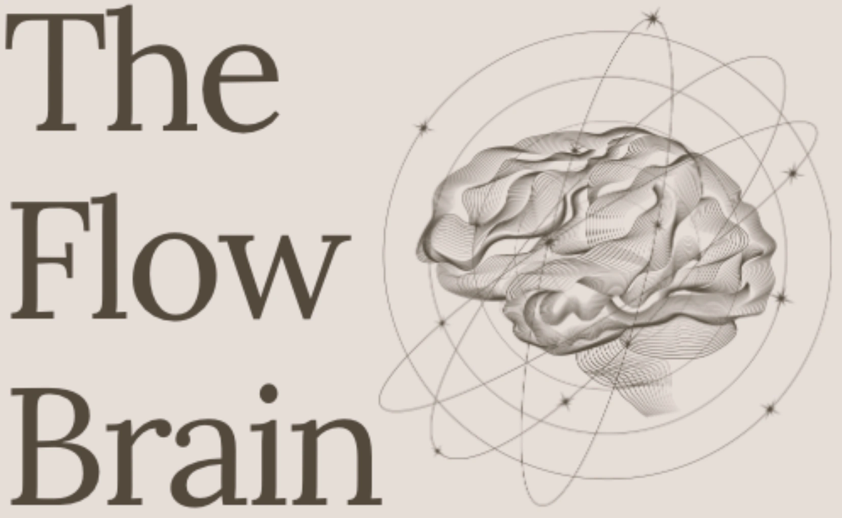The Flow Brain